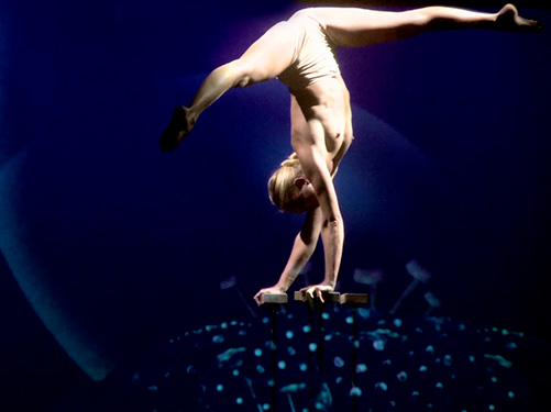 cir_068_171-los-suenos-del-bosco1