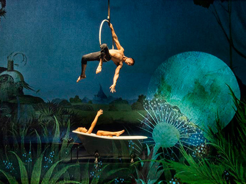 cir_068_171-los-suenos-del-bosco3