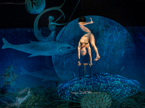 cir_068_171-los-suenos-del-bosco5