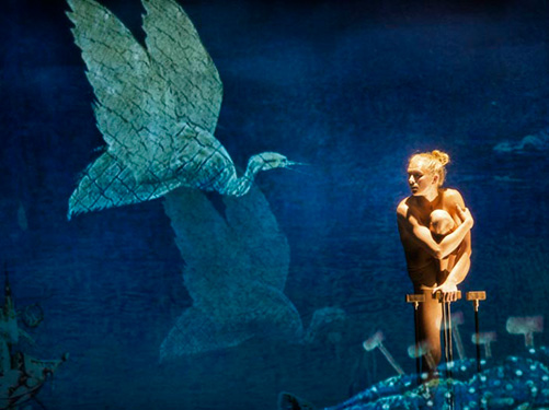 cir_068_171-los-suenos-del-bosco6