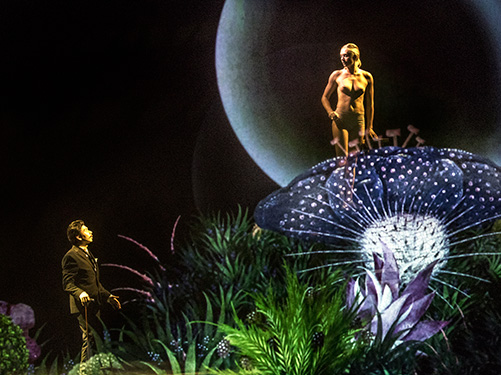 cir_068_171-los-suenos-del-bosco9