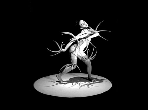 dan_011_013-la-consagración-de-la-primavera03