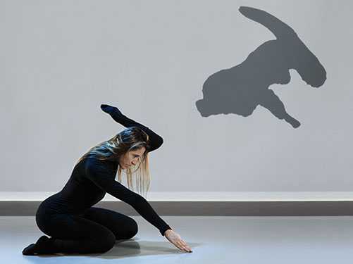 dan_011_152-mouvements04