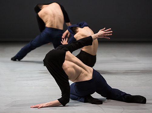 dan_011_154-soft virtuosity01