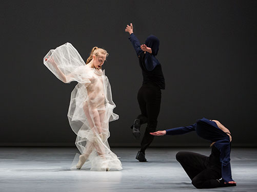 dan_011_154-soft virtuosity03