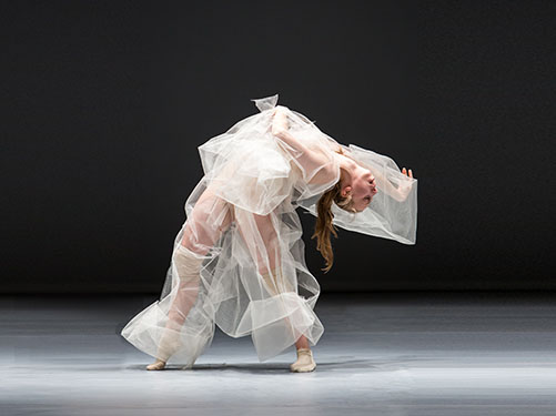 dan_011_154-soft virtuosity04