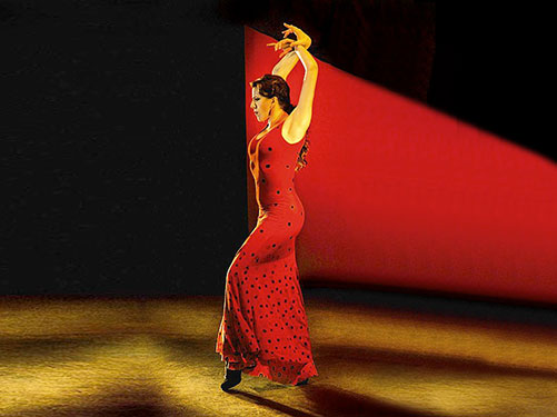 dan_012_022-flamenco-republic03