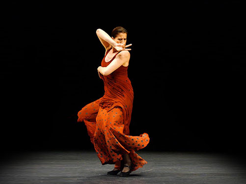 dan_012_022-flamenco-republic04