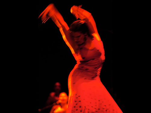dan_012_022-flamenco-republic05