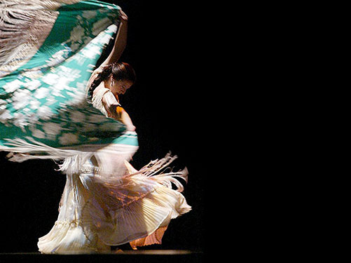 dan_012_022-flamenco-republic06