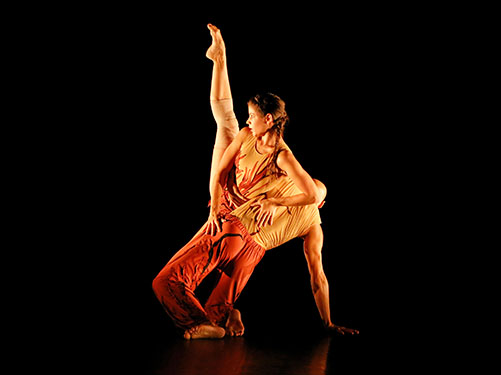 dan_051_132-racines02