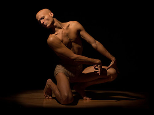 dan_051_132-racines03