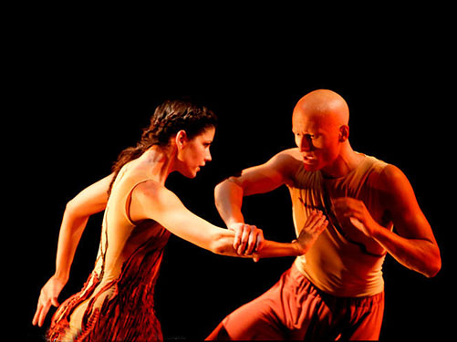 dan_051_132-racines04