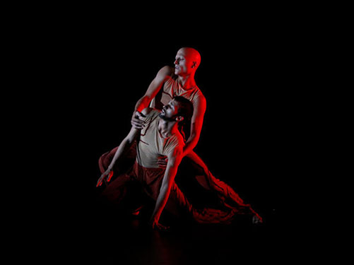 dan_051_132-racines06