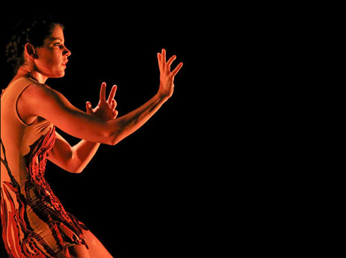 dan_051_132-racines07