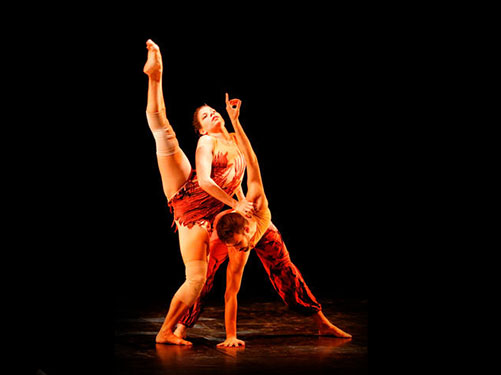 dan_051_132-racines08