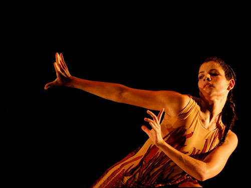 dan_051_132-racines09