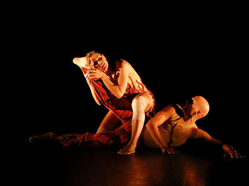 dan_051_132-racines10