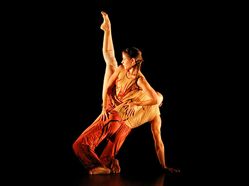 dan_051_132-racines11