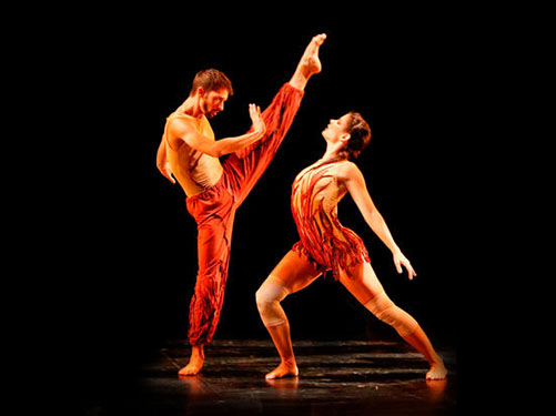 dan_051_132-racines12