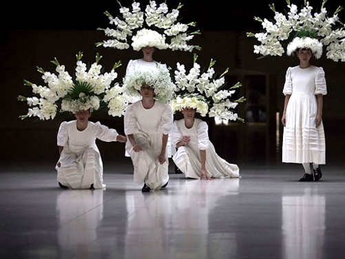 dan_052_193-sonoma04